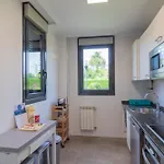 Holidea Olmeca Santander